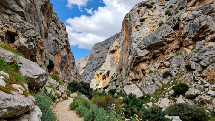 Samaria Schlucht Wanderung: Dein kompletter Guide